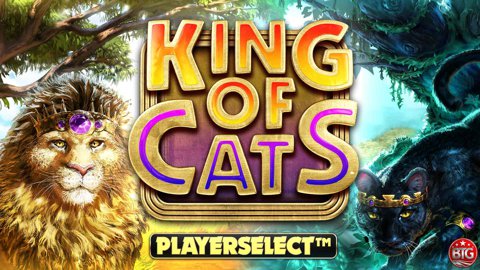 big time gaming image